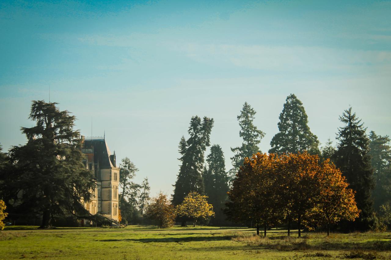 Chateau Le Boisrenault Buzançais Dış mekan fotoğraf
