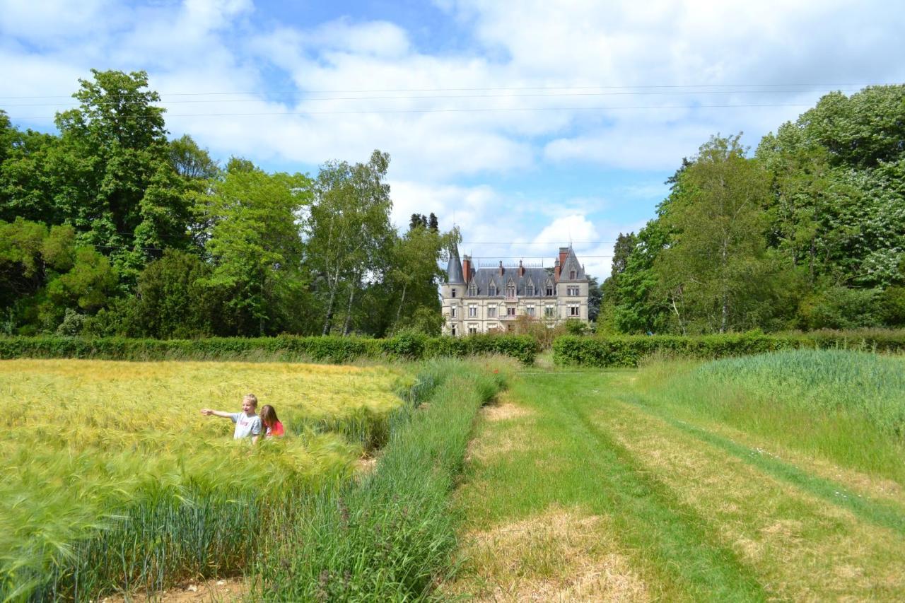 Chateau Le Boisrenault Otel Buzançais Dış mekan fotoğraf